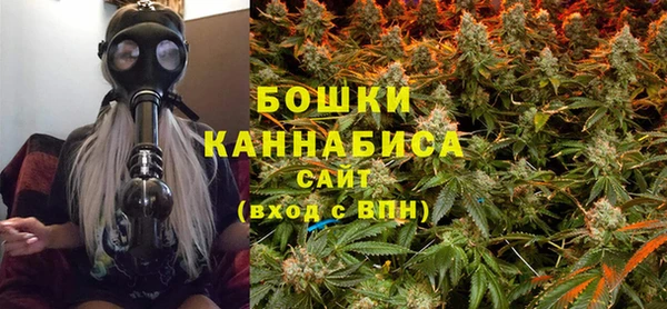 PSILOCYBIN Белоозёрский