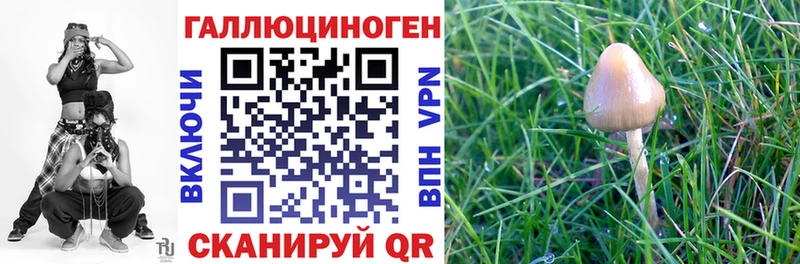 даркнет сайт  Давлеканово  Псилоцибиновые грибы Psilocybe 